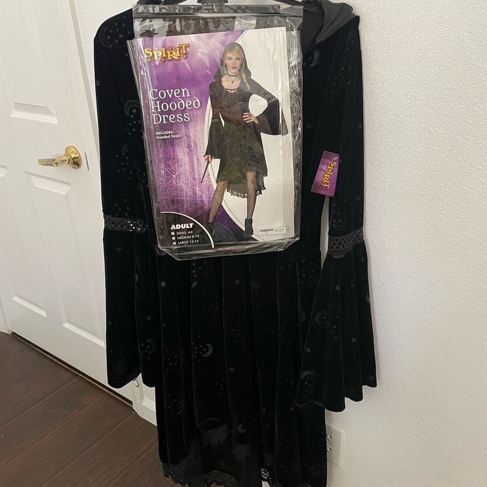 Spirit Halloween costume